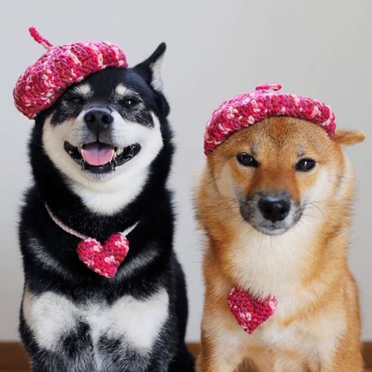 DIY Mini Mixed Color Hand-knitted Beret Cute Pet view 7