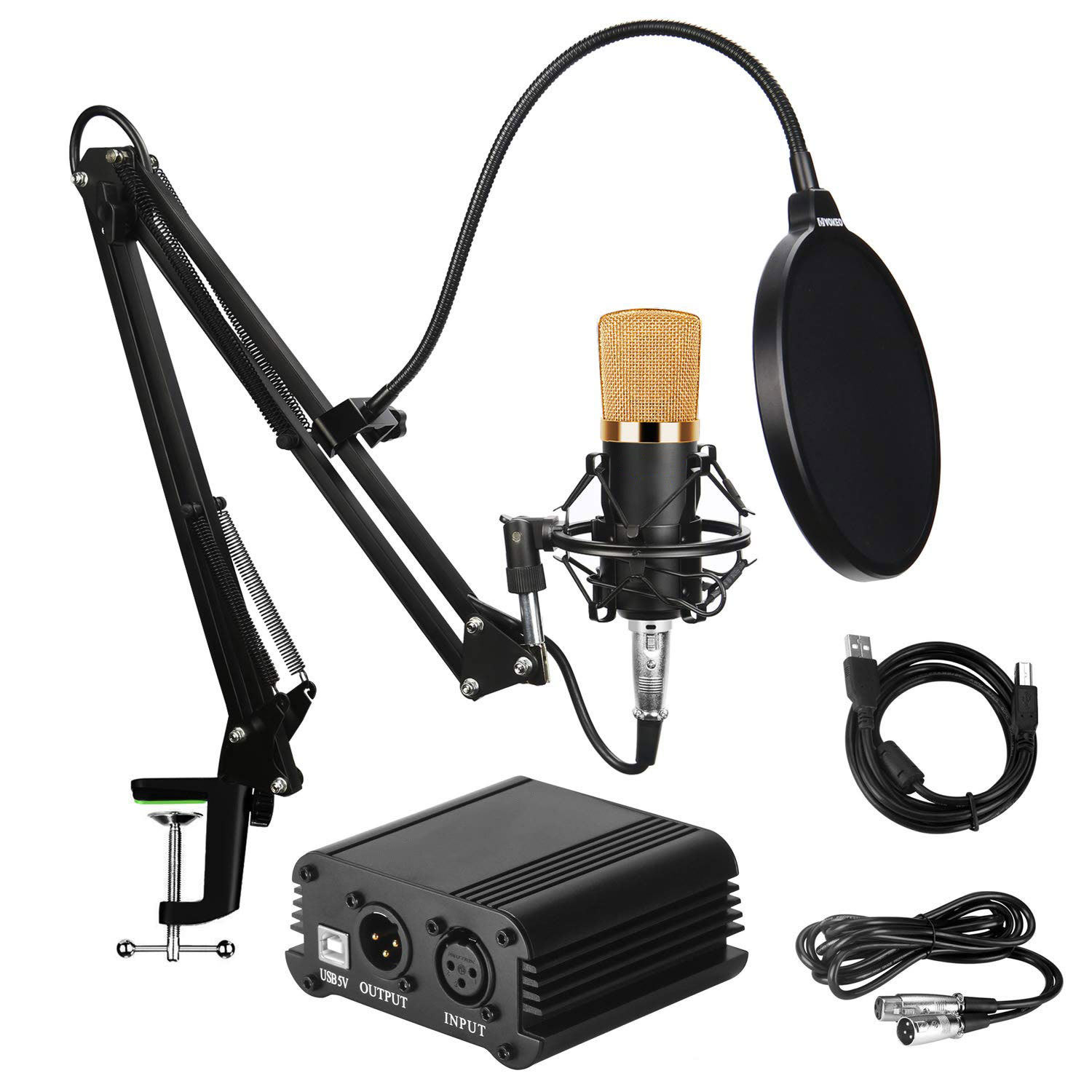 Shouting Microphone Recording Live K Song Podcast view 7