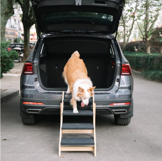 Wooden Foldable 4-storey Pet Stairs And Ramps view 9