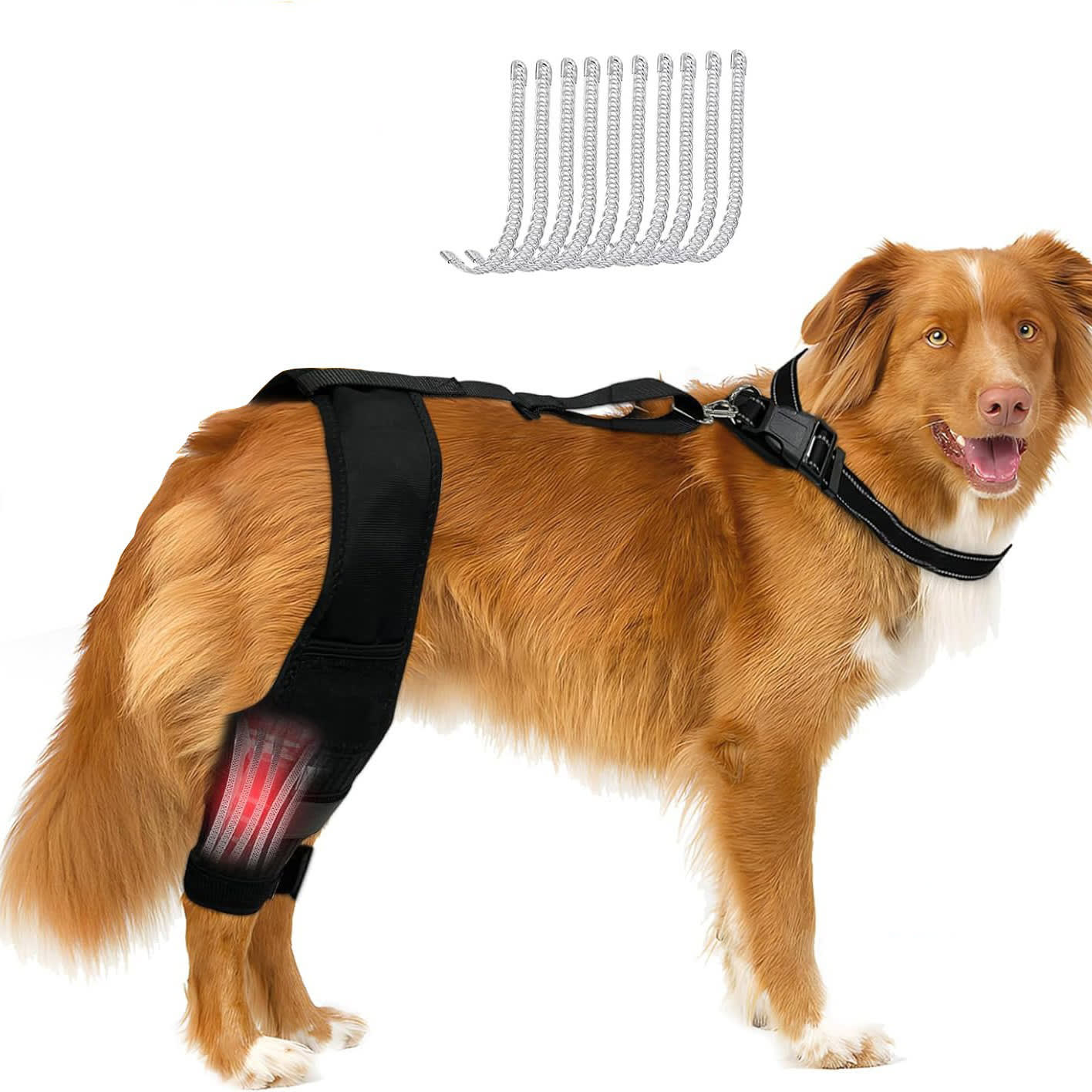 Leg Protector For Dogs Knee Brace Auxiliary Belt Joint Protection Pet Supplies Great Deal view 6