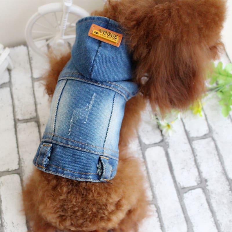 Summer Bichon Hooded Cowboy view 2