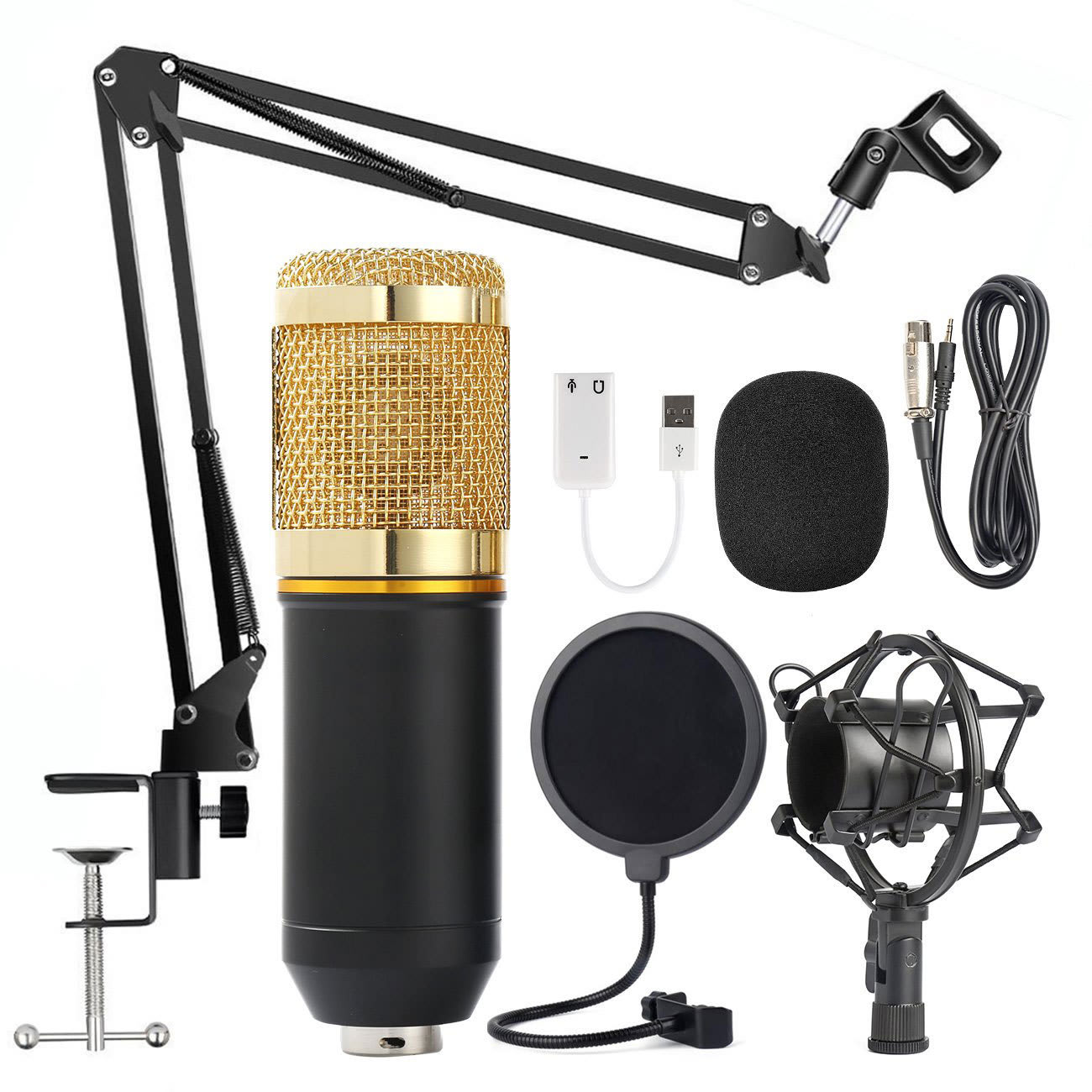 Shouting Microphone Recording Live K Song Podcast view 5