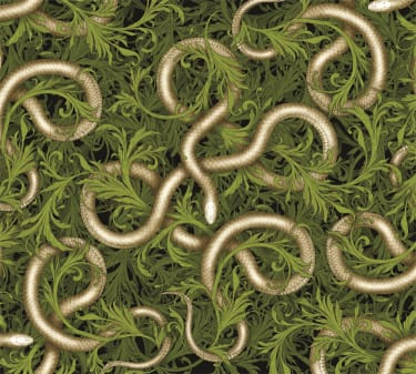 TAP -- Wall Covering Fabric view 84