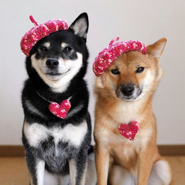 DIY Mini Mixed Color Hand-knitted Beret Cute Pet view 3