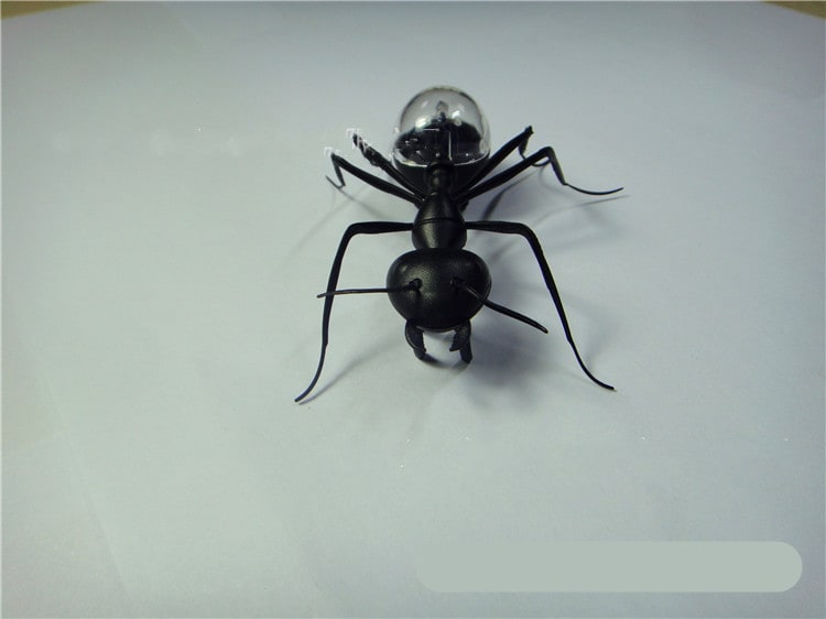 Solar Ant Baby Electronic Pet Toy view 2
