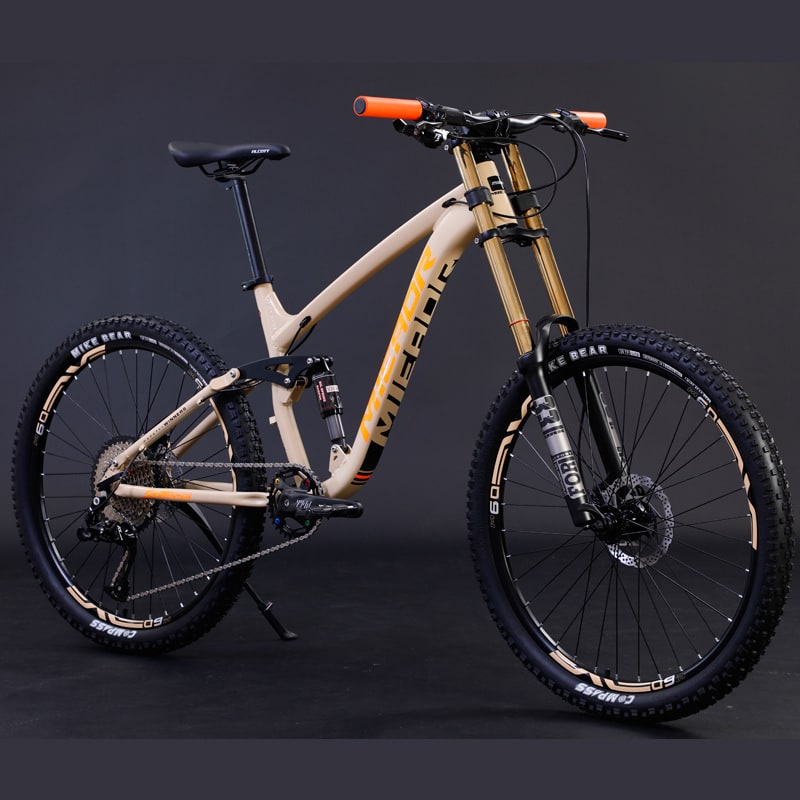 Aluminum Alloy Soft Tail Oil Brake Damping Mountain Bike Bicyc view 3