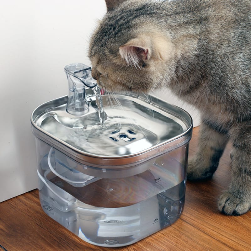 Pet Cat Dog Stainless Steel Automatic Circulation Water Dispenser Intelligent Fountain Pets Accessories view 6
