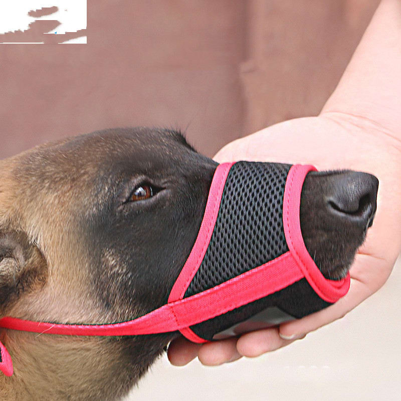Mouth Cover To Prevent Eating Indiscriminately Large Labrador Dog view 3