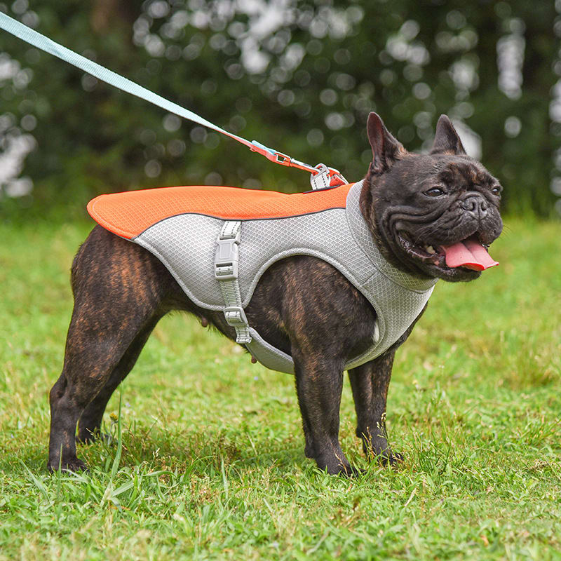 Summer Pet Outdoor Breathable Cooling Vest view 6