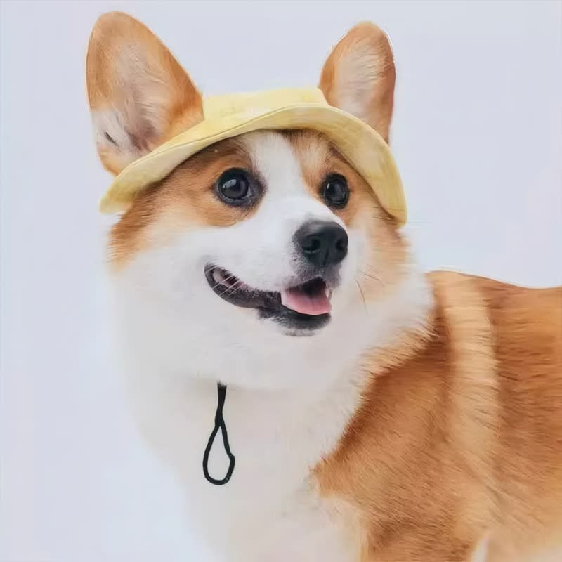 Dog Ears Exposed Comfortable Breathable Sun Hat view 12