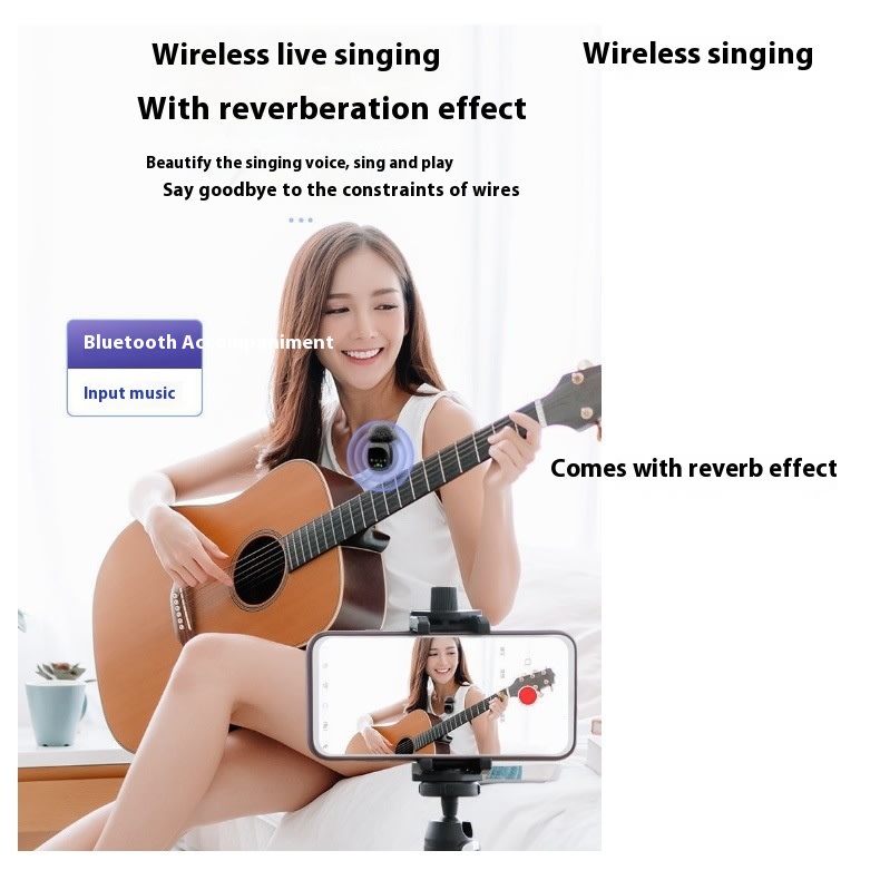 Wireless Microphone Bluetooth Accompaniment Comes With Reverb view 1