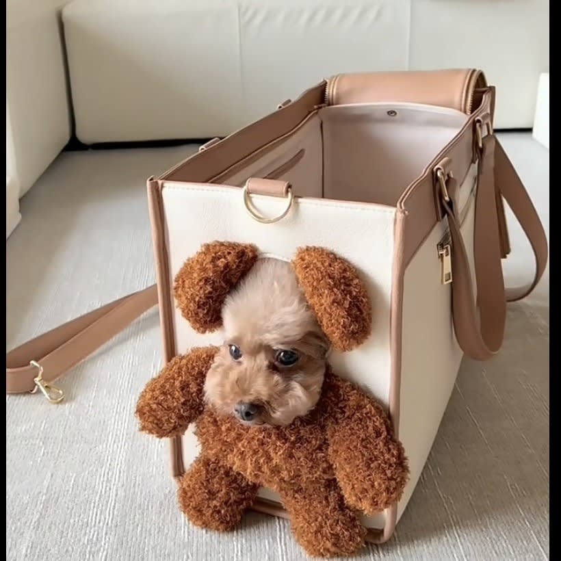 Creative Pet Carry Bag Large Capacity Outdoor One-Shoulder Tilt Straddle Tote Cat Bag Small Dog Brown Bear Bag Pet Products view 5