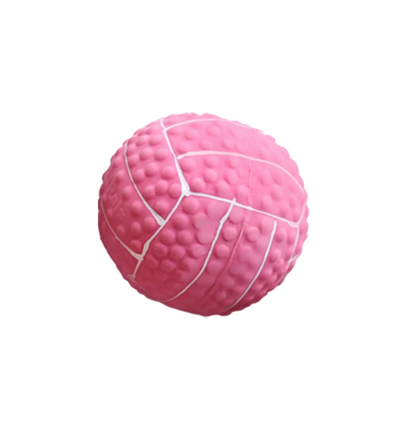 LaTeX Pet The Toy Dog Latex High Elastic Ball view 6