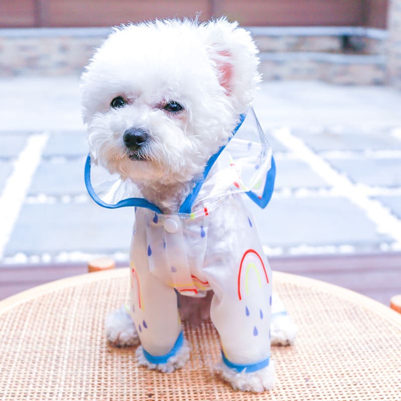 Transparent Waterproof Rainbow Dog Raincoat view 6