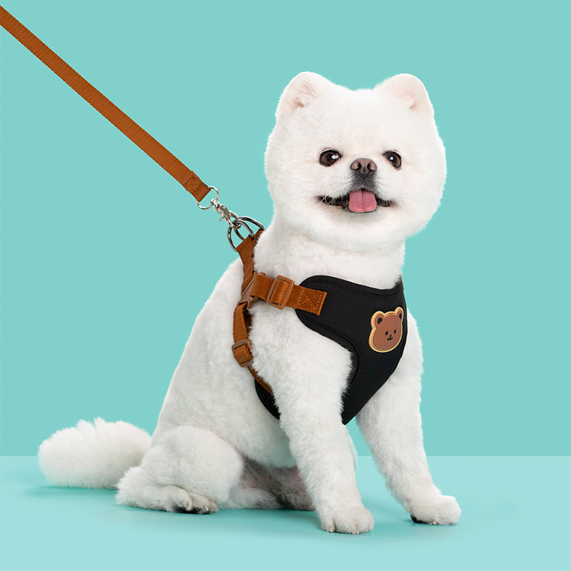 Outing Dog Leash Pet Strap view 5