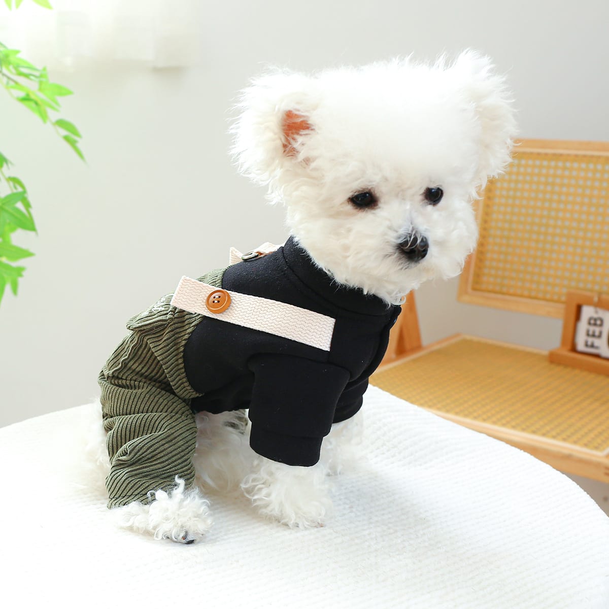 Pet Ring Dog Cat Clothes New Corduroy view 5