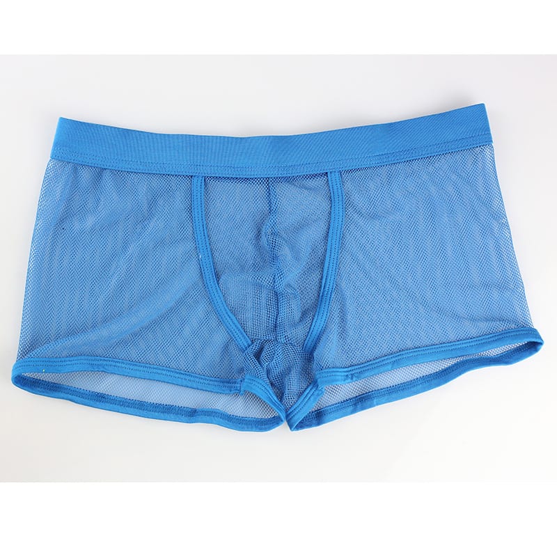 Men's Mesh Transparent Boxers Low Waist view 3