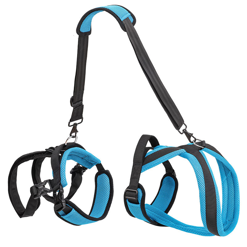 Pet Supplies Dog Auxiliary Strap view 4