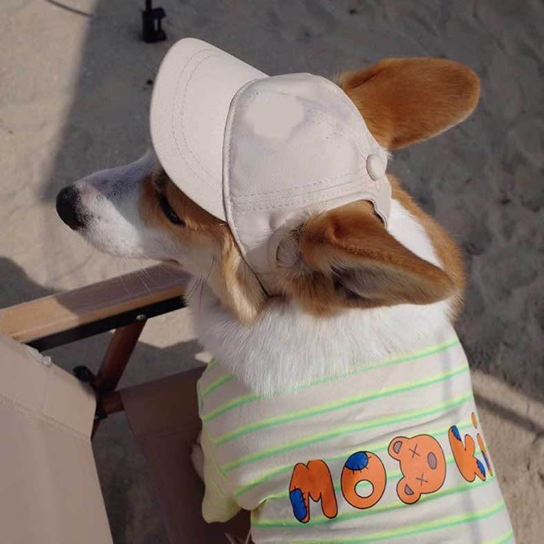 New Adjustable Sun-proof Exposed Ears Pet Hat view 8
