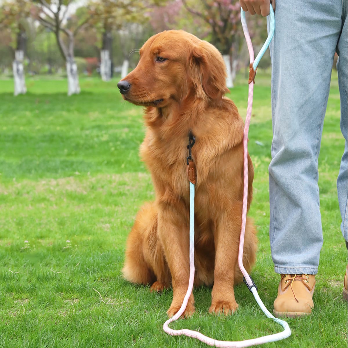 Pet Dog Cat Walking Multi-purpose Reflective Hand Holding Rope view 3