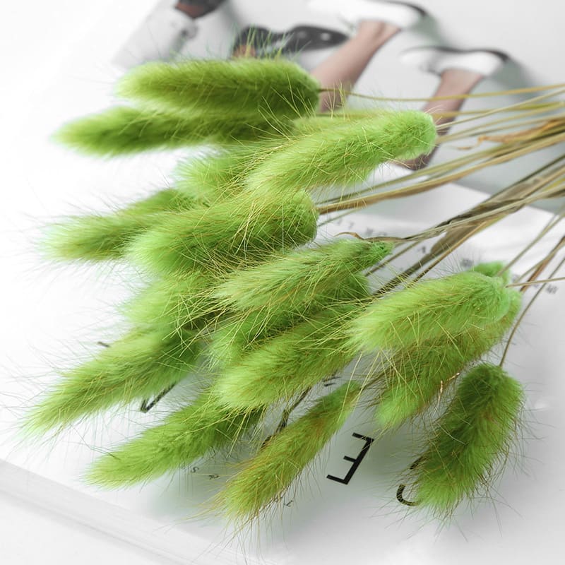 Home Decoration Ornaments - Rabbit Tail Grass Dried Flower Bouquet view 18