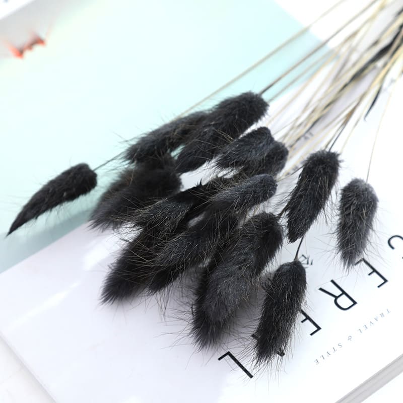 Home Decoration Ornaments - Rabbit Tail Grass Dried Flower Bouquet view 13