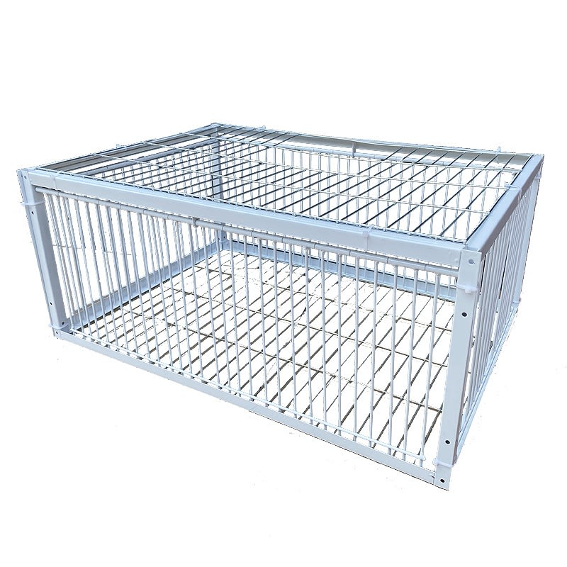 Pigeon Active Network Door Encrypted Return Cage view 29