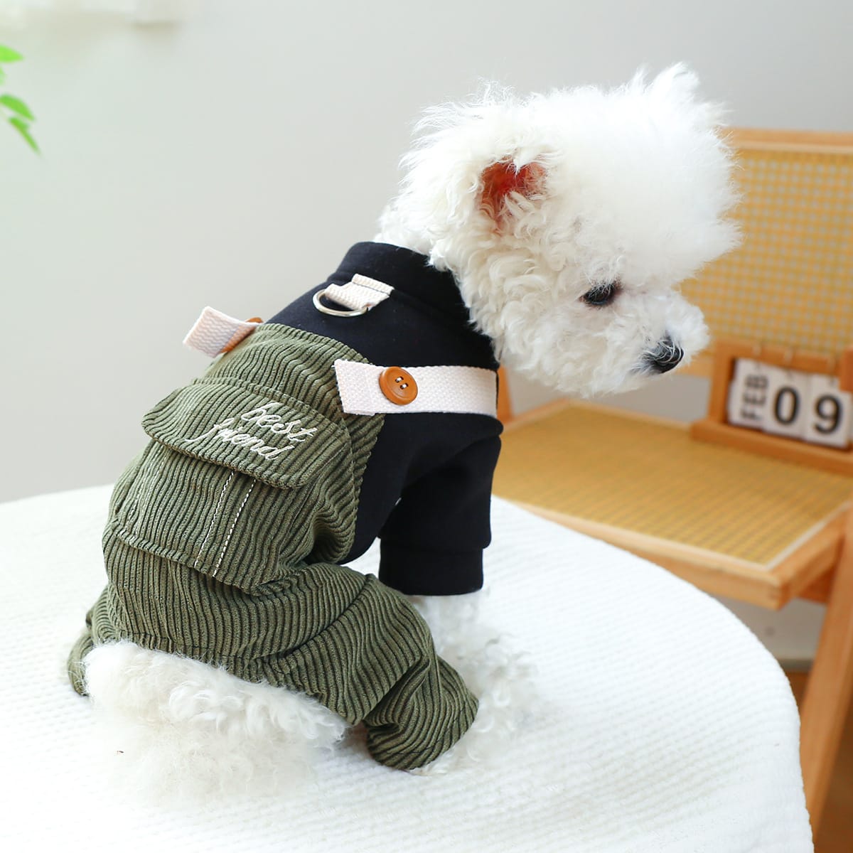 Pet Ring Dog Cat Clothes New Corduroy view 2