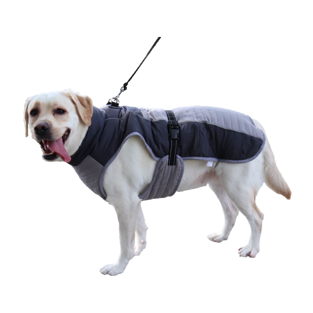 Casual Thickening Pet Clothes Reflective view 4