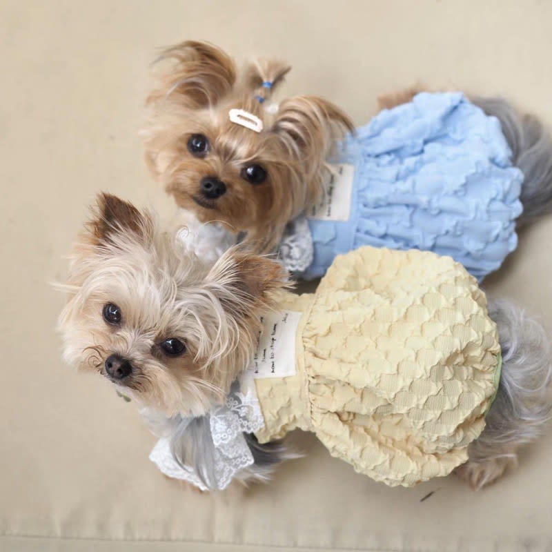 Pet Clothes Contrast Color Suspender Skirt view 5