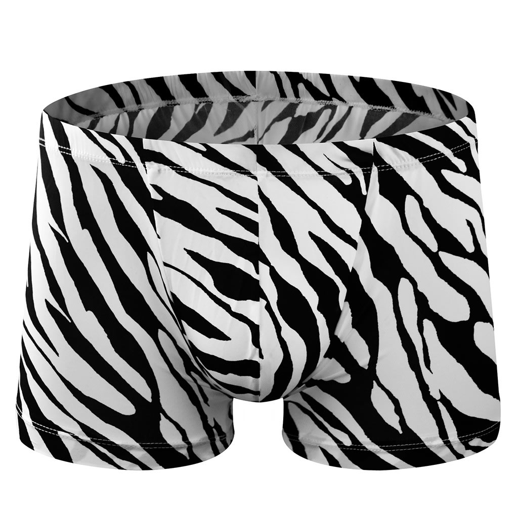 Men's Zebra Low Waist Twill Underpants view 10