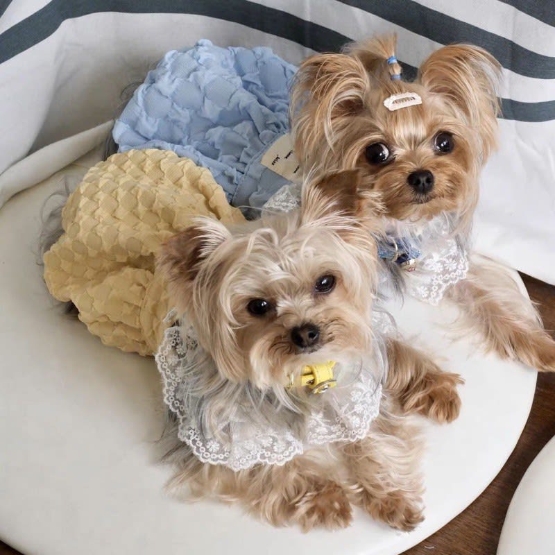 Pet Clothes Contrast Color Suspender Skirt