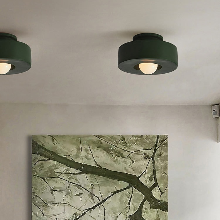 Nordic Minimalist Ceiling Mounted Personalized Lighting Fixtures view 2