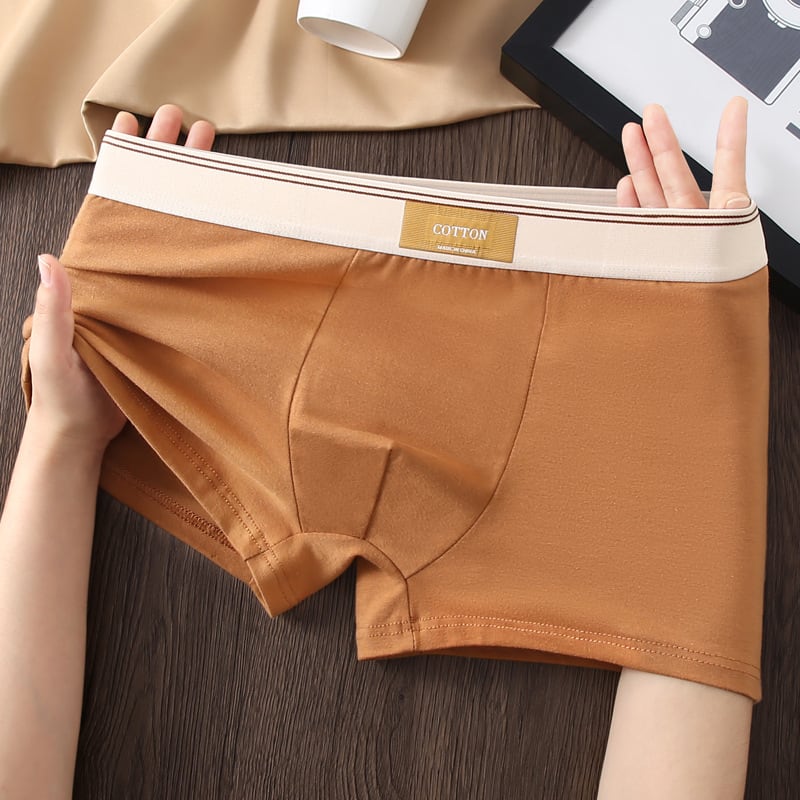 Men's Cotton Antibacterial Boxers Breathable Underwear view 13