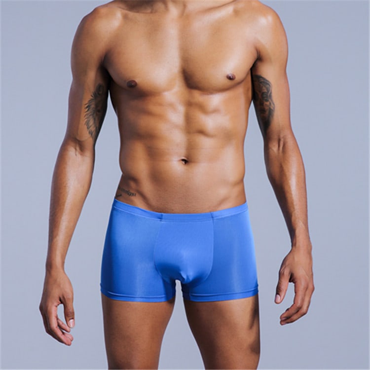Men's Underwear Nylon Ice Silk Comfort Boxers view 9