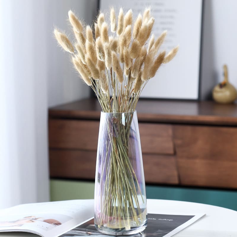 Home Decoration Ornaments - Rabbit Tail Grass Dried Flower Bouquet view 14