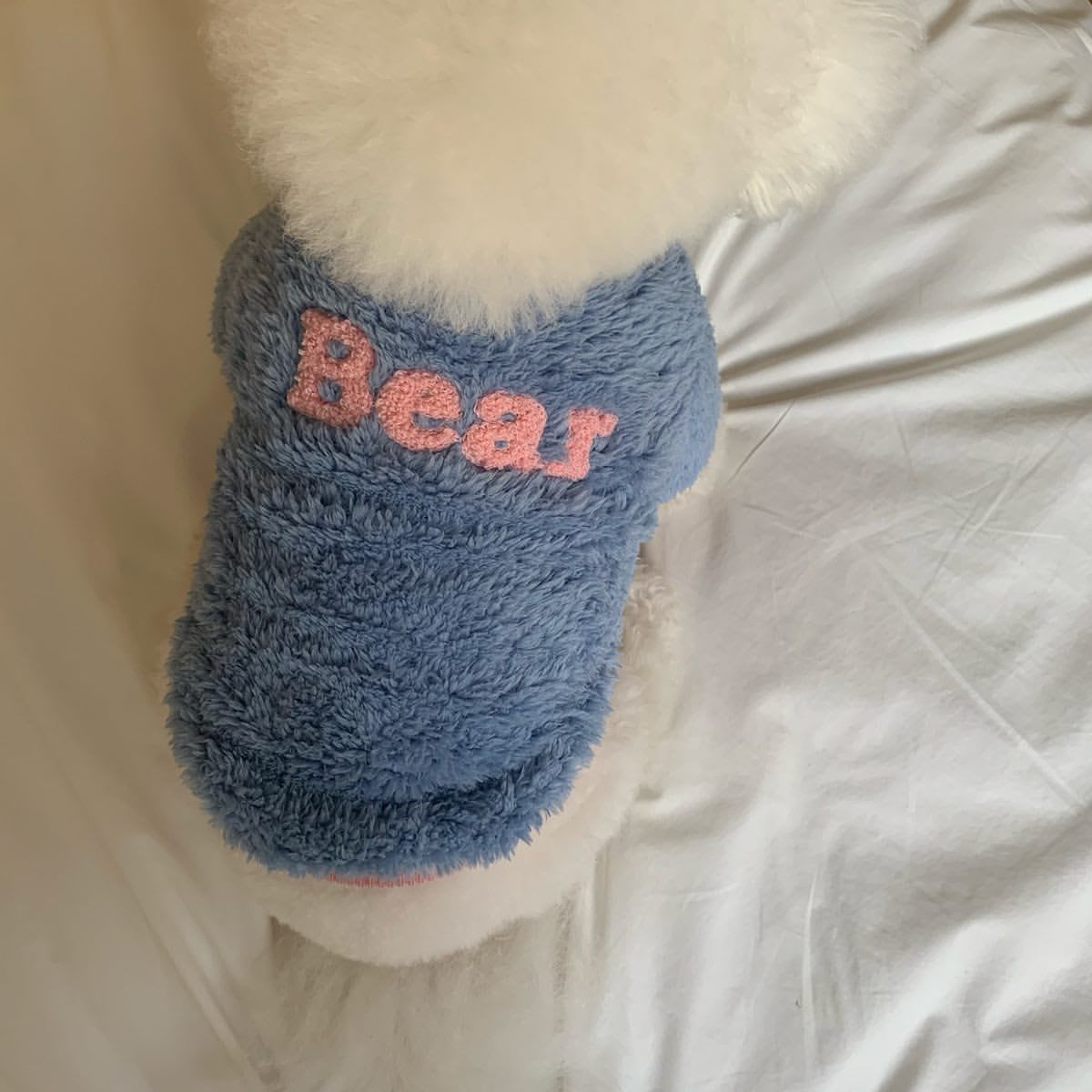 Fashion Autumn And Winter New Pet Coat view 5