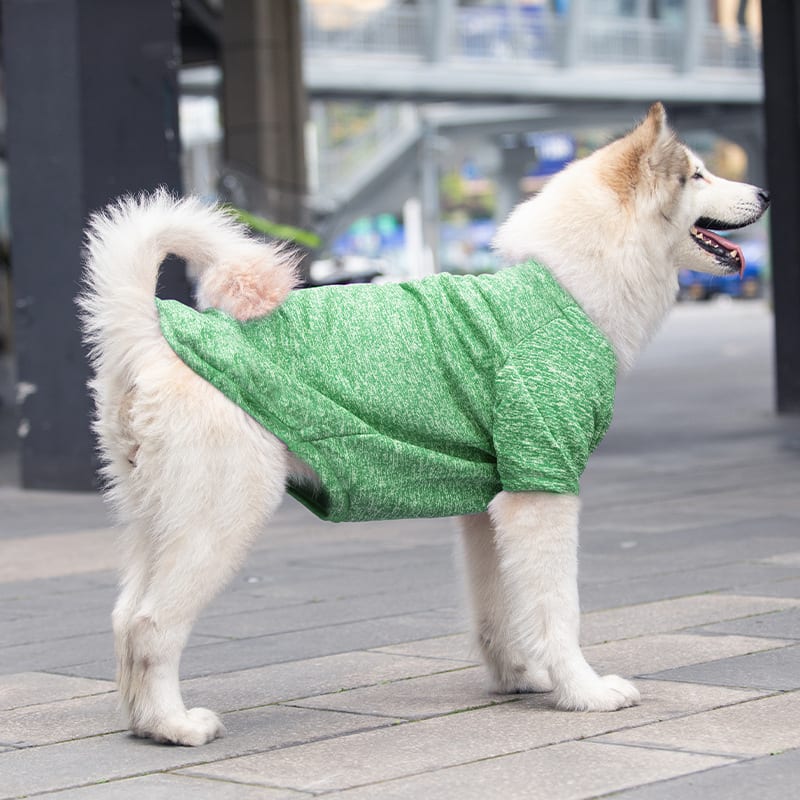 Dog Wool Warm And Comfortable Sweater view 16