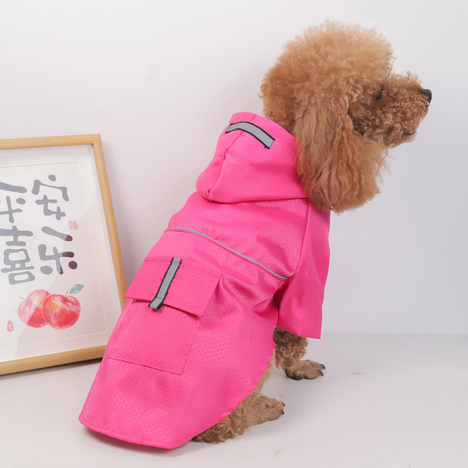 Dog Raincoat Reflective Waterproof Snowproof Pet Coat For Small Puppy Cats Raincoat Pets Supplies view 9
