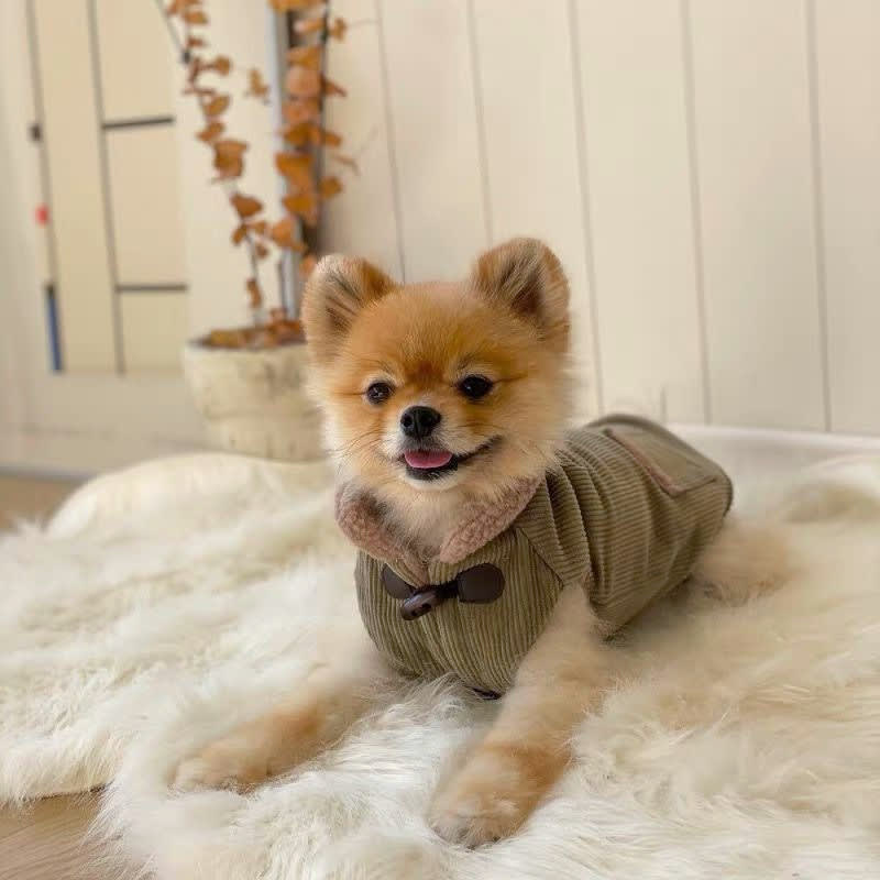 Autumn And Winter Pet Thickened Cotton Coat view 4