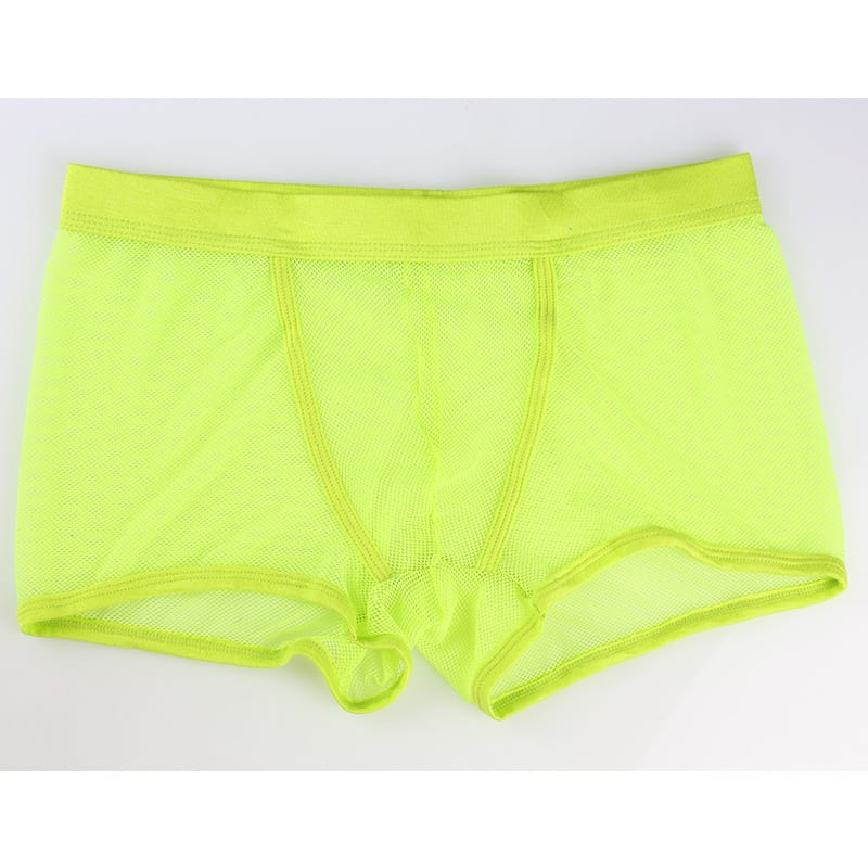 Men's Mesh Transparent Boxers Low Waist
