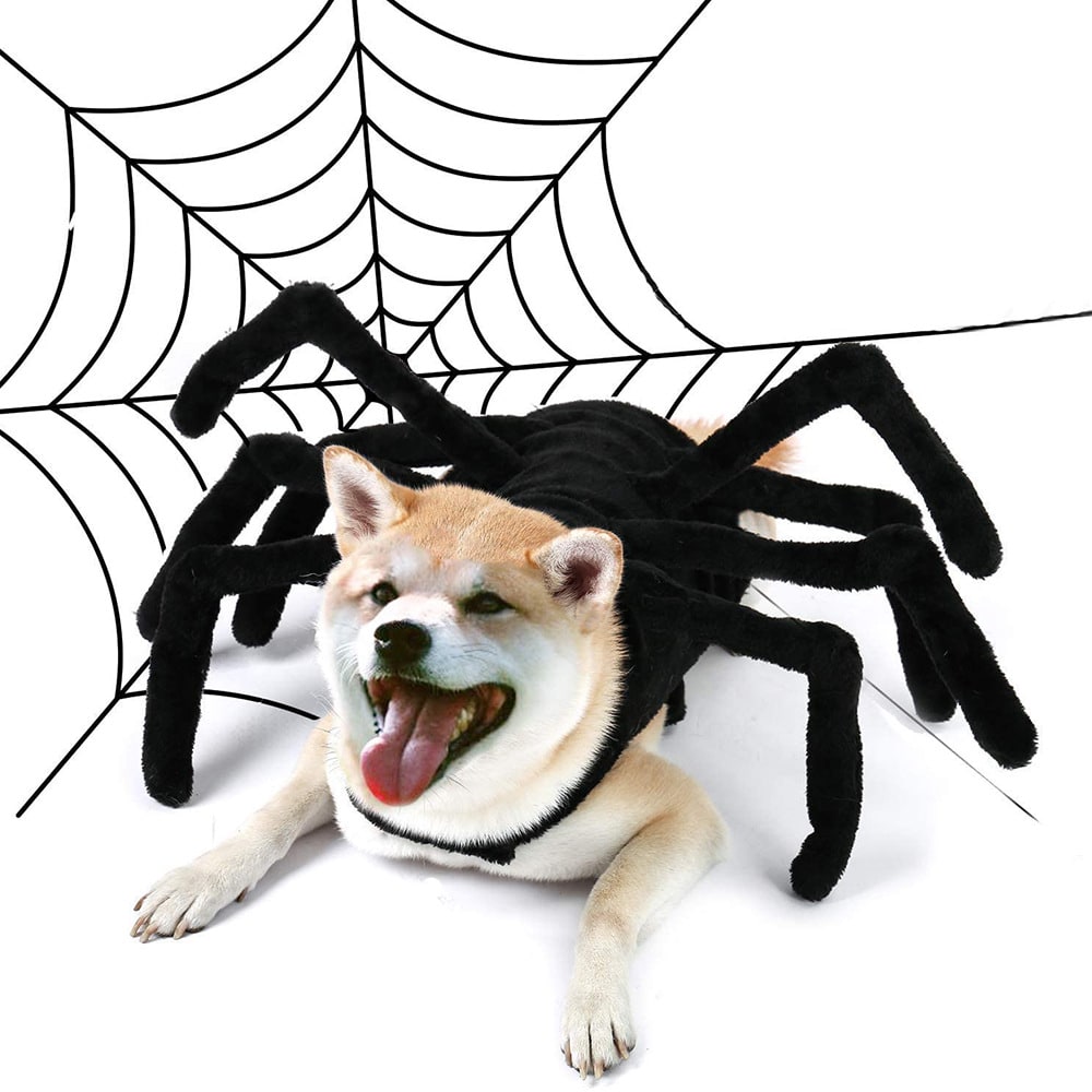 Creative Pets Funny Spiders Chest And Back view 3