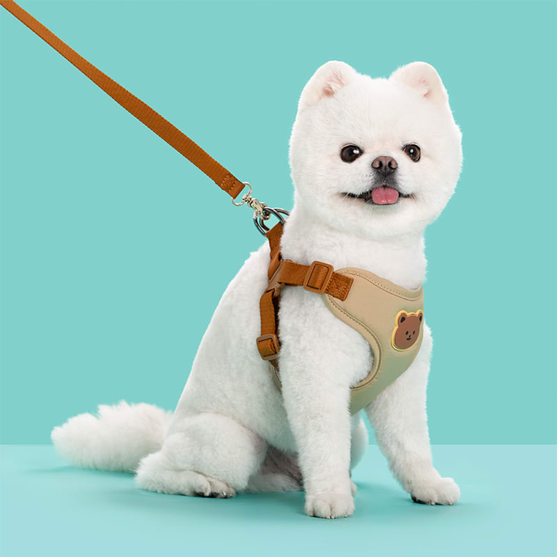 Outing Dog Leash Pet Strap view 6