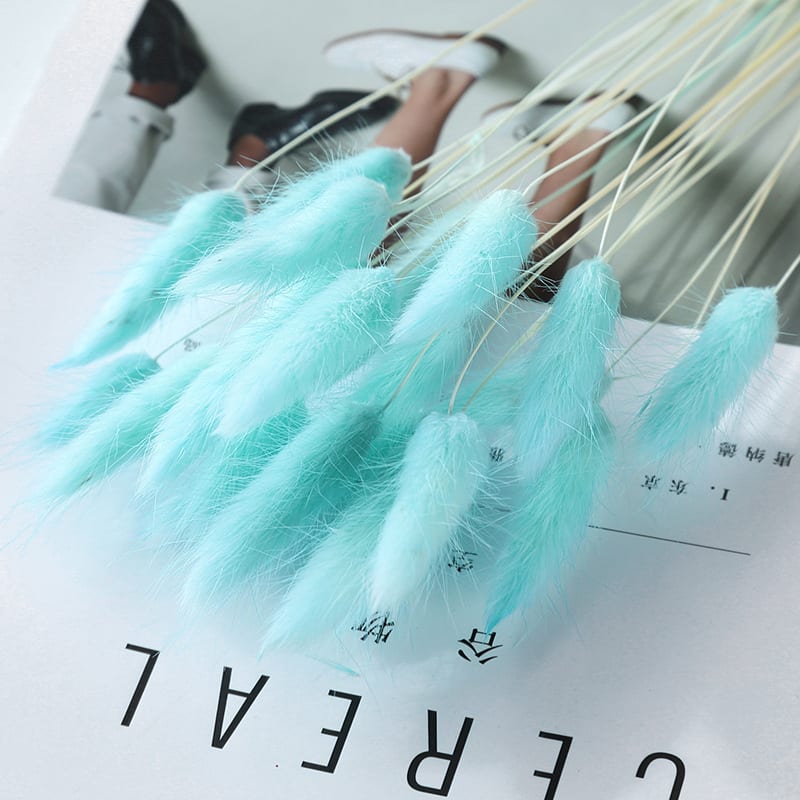 Home Decoration Ornaments - Rabbit Tail Grass Dried Flower Bouquet view 5