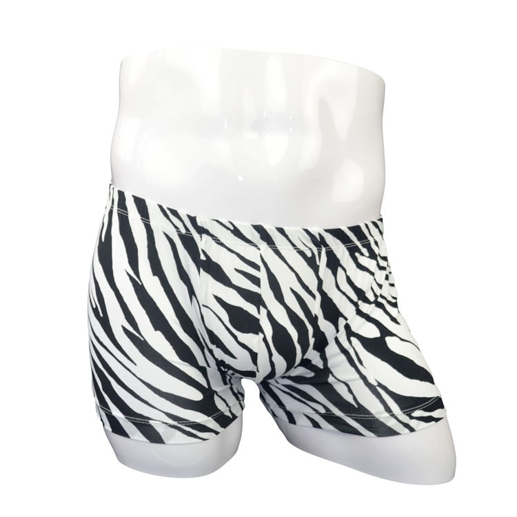 Men's Zebra Low Waist Twill Underpants view 3