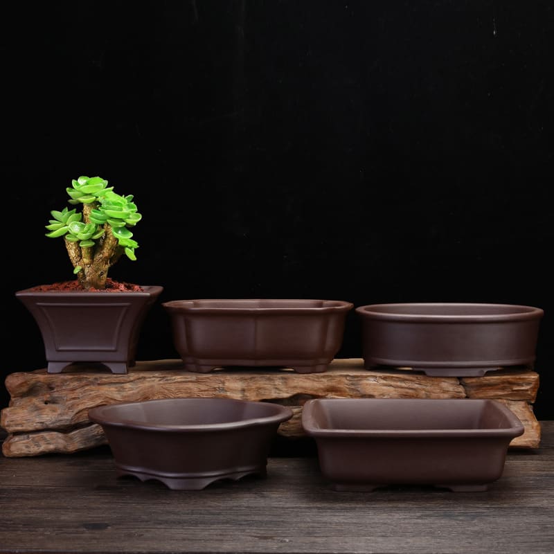 Orchid Grass Succulent Purple Sand Flowerpot