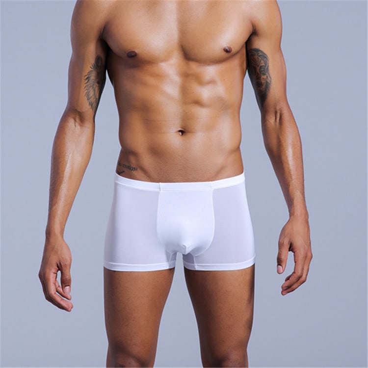 Men's Underwear Nylon Ice Silk Comfort Boxers view 7
