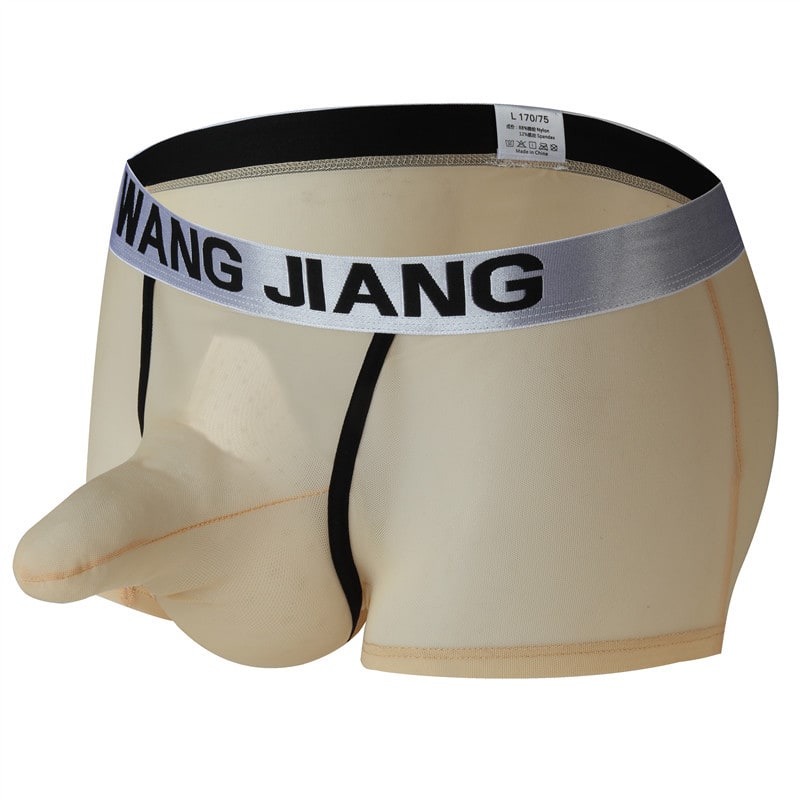 Men's Boxers Transparent Mesh Elephant Nose Underwear Bullet Separation Bag Boxers view 5