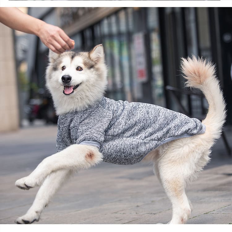 Dog Wool Warm And Comfortable Sweater view 14