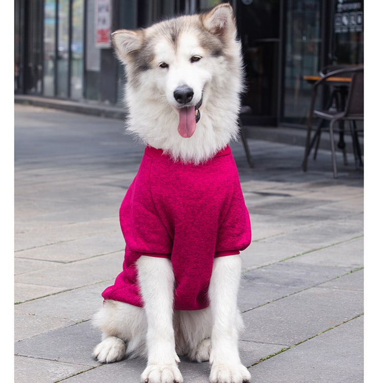 Dog Wool Warm And Comfortable Sweater view 15